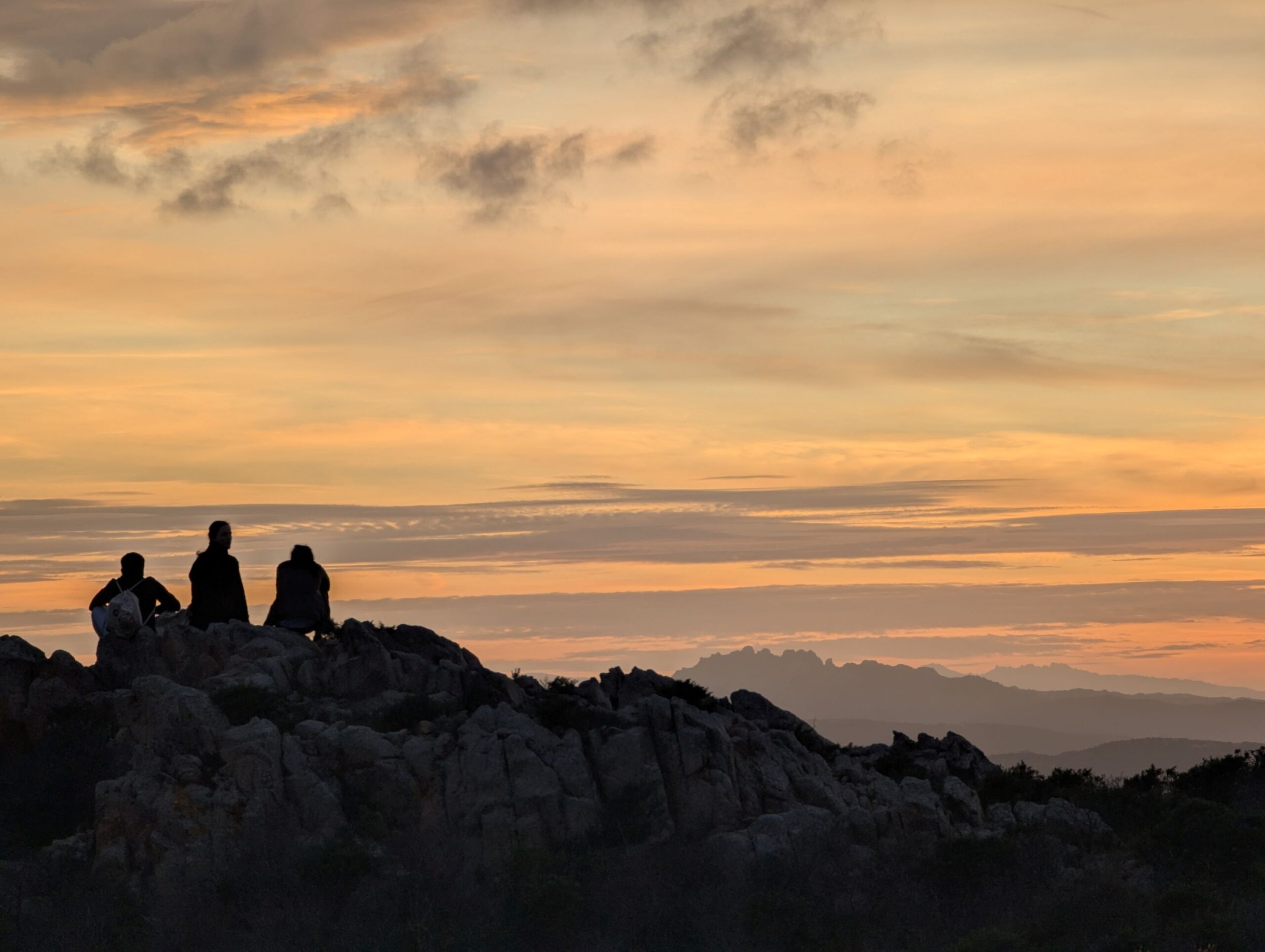 Evidence-Based, Impact-Oriented