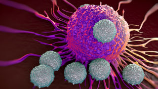 T-cells attacking cancer cell  illustration of  microscopic photosT-cells attacking cancer cell  illustration of  microscopic photos