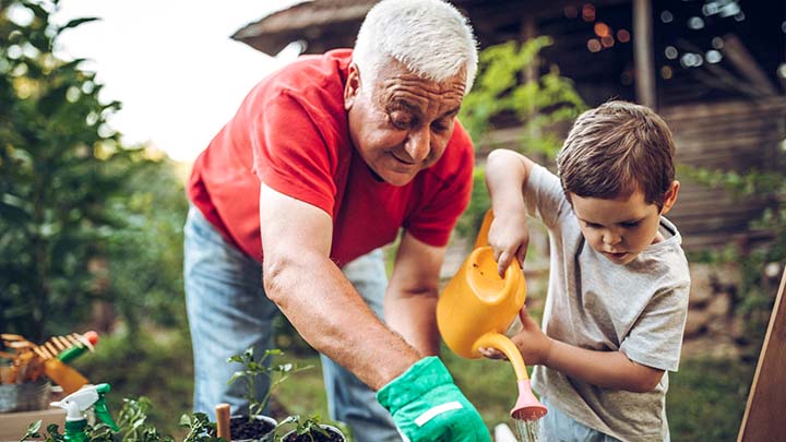 Grandfather with grandson gardening